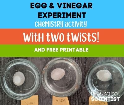 Egg Experiment with Vinegar and Two Cool Twists.